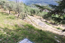 VAIANO VENDESI TERRENO AGRICOLO DI 1 ETTARO TERRAZZATO