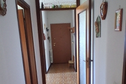 5 (12887)