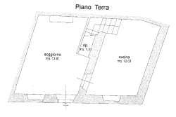 Pianta 1 (9367)