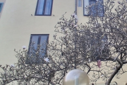 TERRATETTO 160 MQ CON GIARDINO GARAGE E DEPOSITO