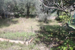 VE40 (18)